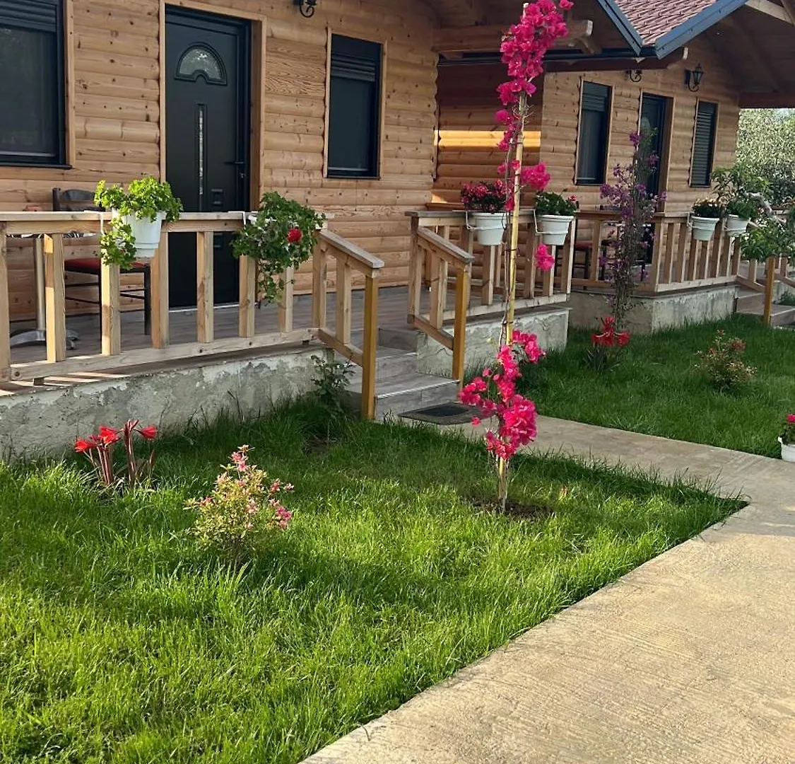 度假居 Guest House Dimal Berat Pashalli