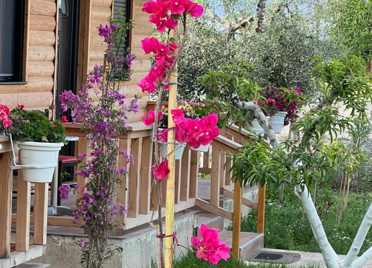 度假居 Guest House Dimal Berat Pashalli