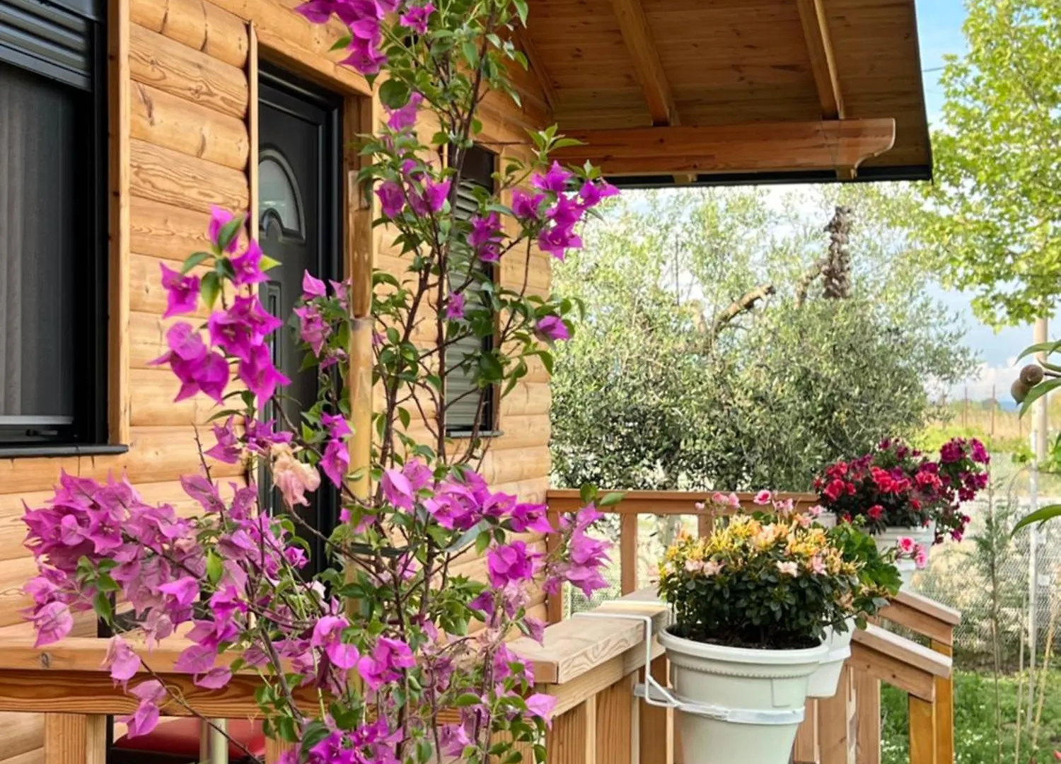 Guest House Dimal Berat Pashalli 阿尔巴尼亚